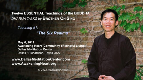 ESSENTIAL Teachings of the BUDDHA (pt 1): The Six Realms