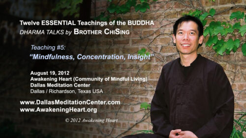 ESSENTIAL Teachings of the BUDDHA (pt 5): Mindfulness, Concentration, Insight