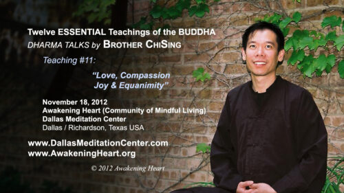ESSENTIAL Teachings of the BUDDHA (pt 11): Love, Compassion, Joy & Equanimity