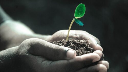 Going Through Changes and Practicing Mindfulness